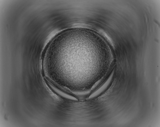 X0000091491376200708231413