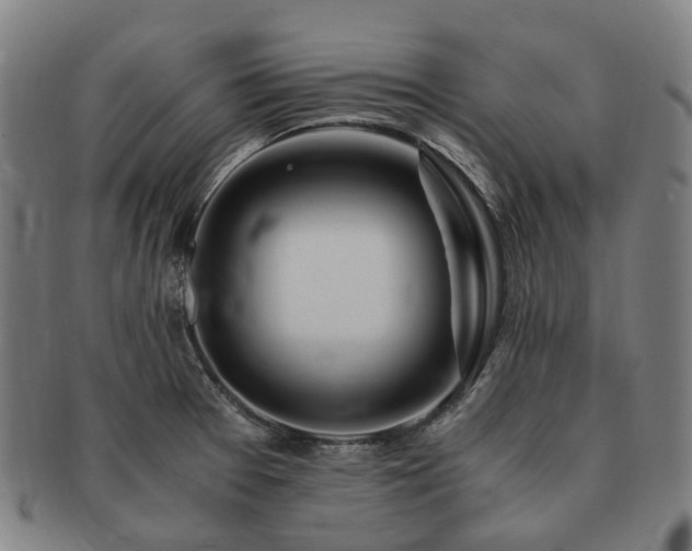 X0000091491377200708231413