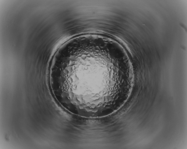 X0000091491379200708231413