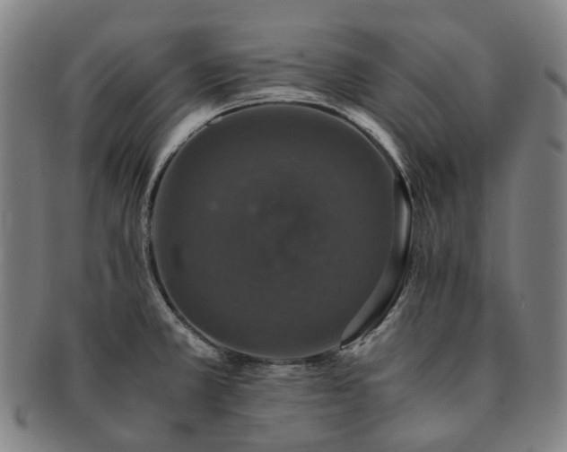 X0000091491381200708231412