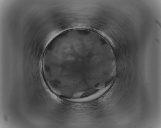 X0000091491383200708231412
