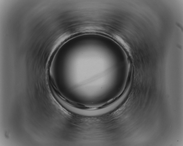 X0000091491384200708231412