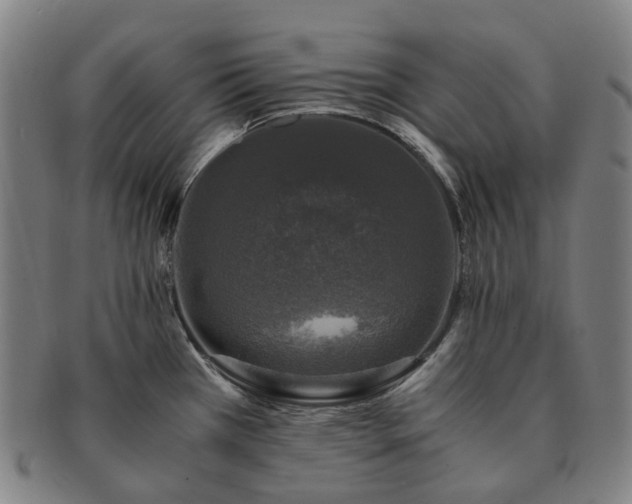 X0000091491385200708231412