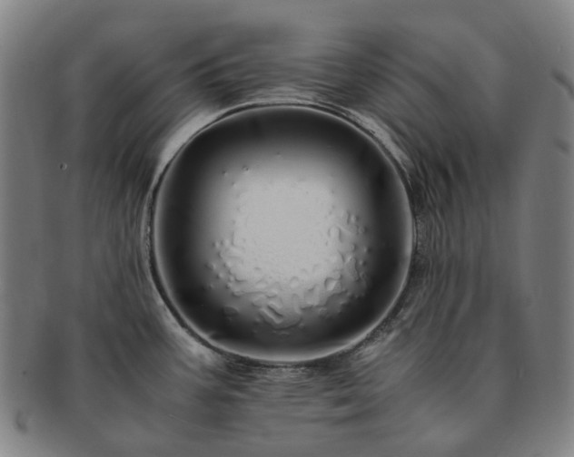 X0000091491387200708231412