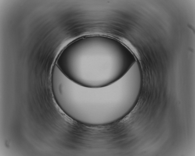 X0000091491388200708231412