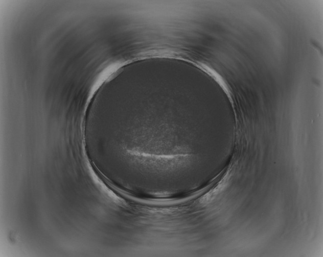 X0000091491389200708231412