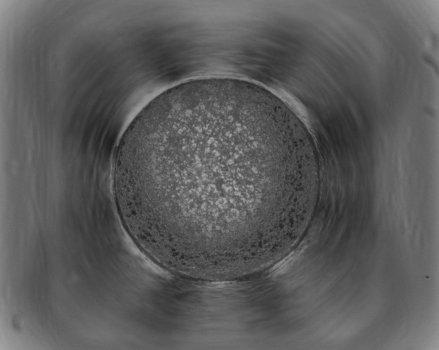 X0000091491390200708231412