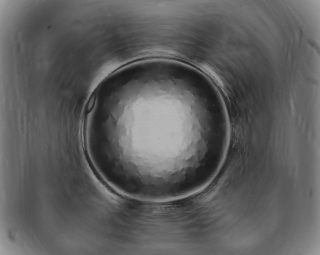 X0000091491391200708231412