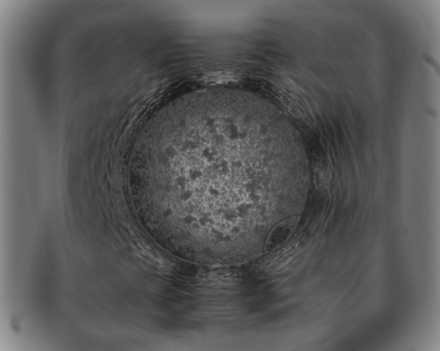 X0000091491393200708231411