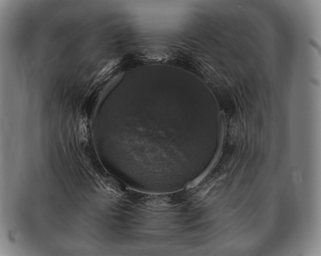 X0000091491394200708231412
