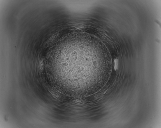 X0000091491395200708231412