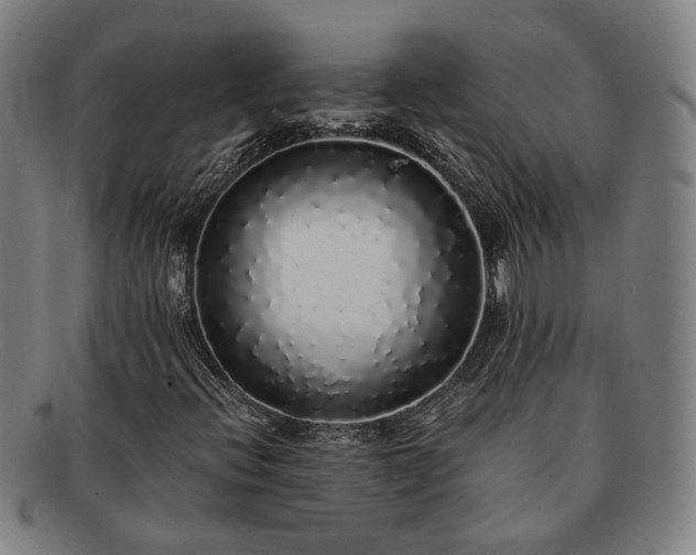X0000091491396200708231412