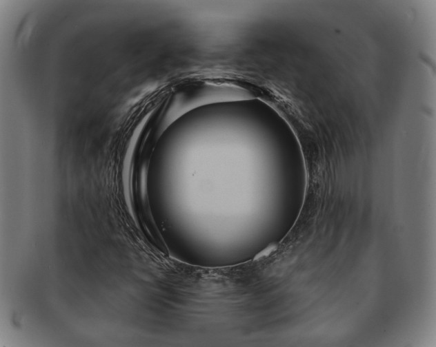X0000091491398200708231412