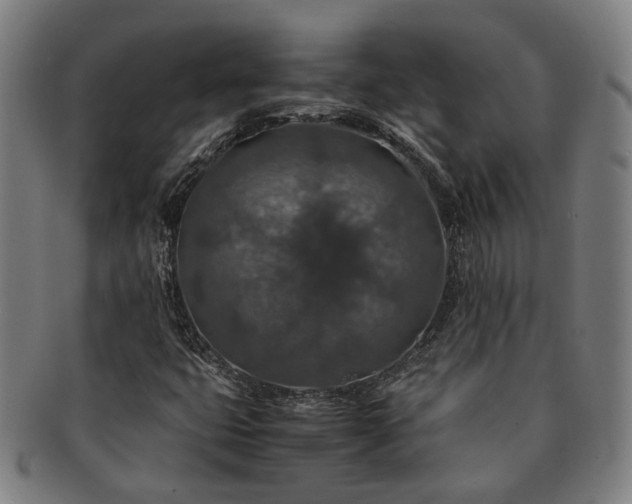 X0000091491399200708231412