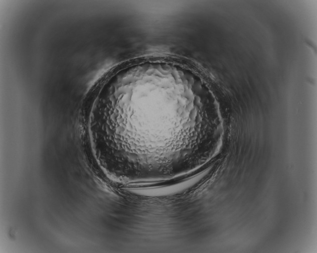 X0000091491400200708231412