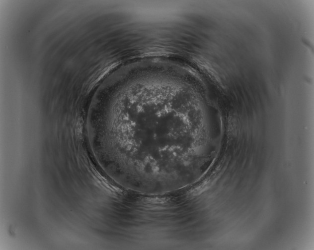 X0000091491401200708231412