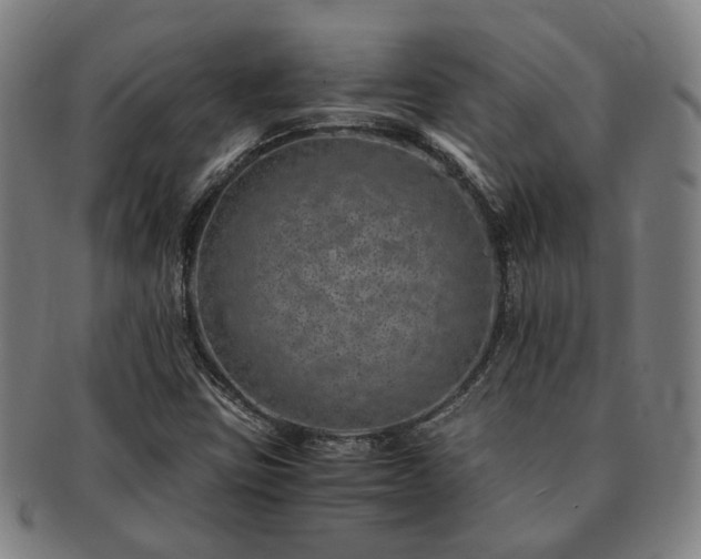X0000091491403200708231412