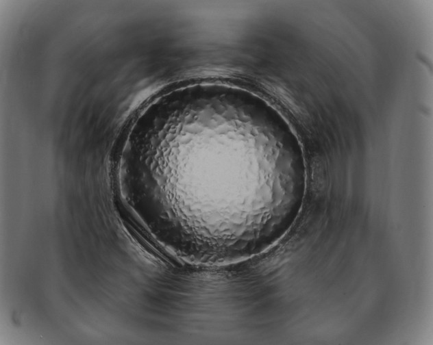 X0000091491404200708231412