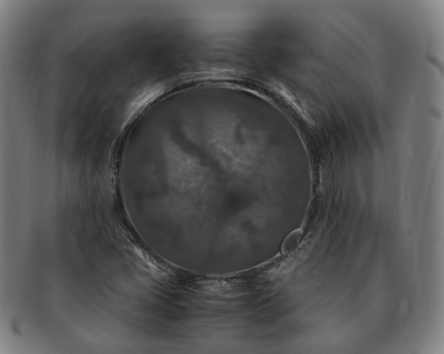 X0000091491405200708231412