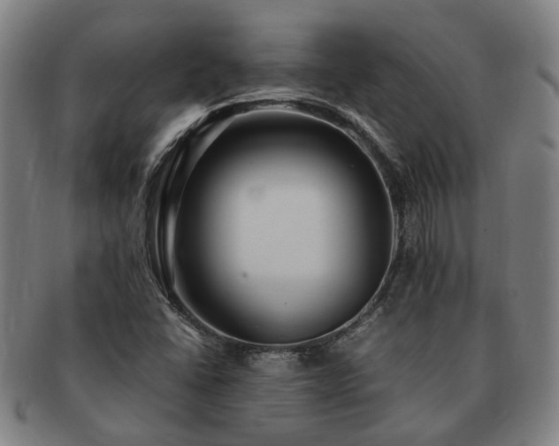 X0000091491406200708231412