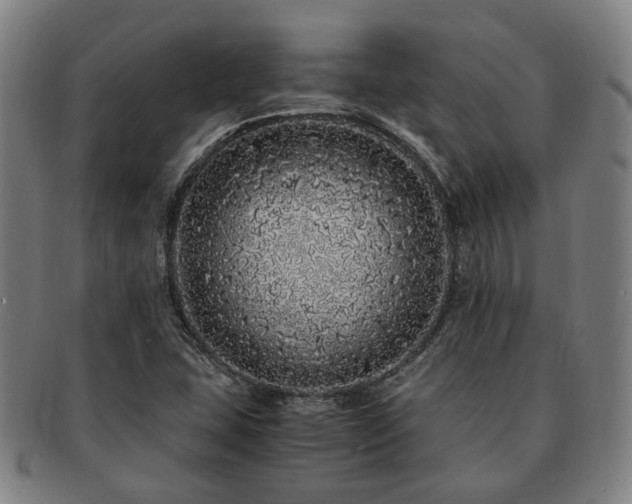 X0000091491407200708231412