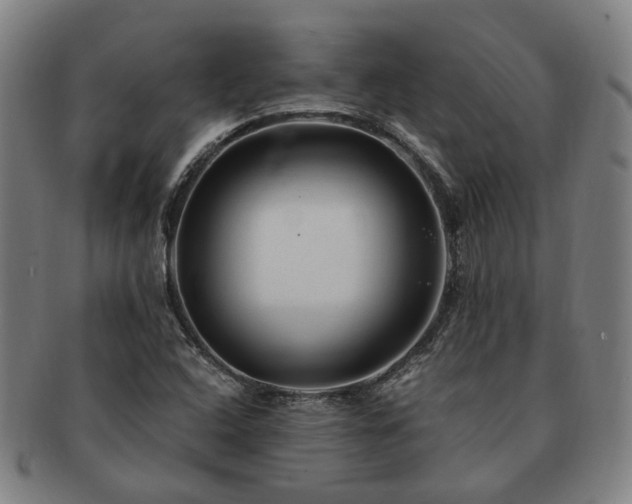 X0000091491408200708231412