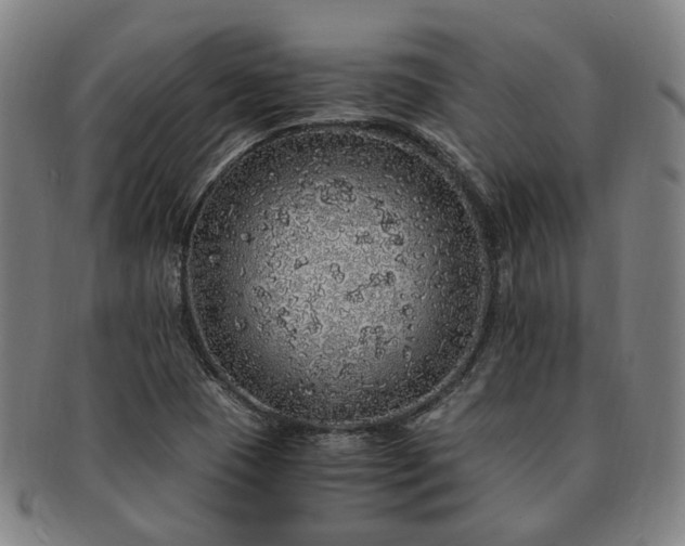 X0000091491409200708231412