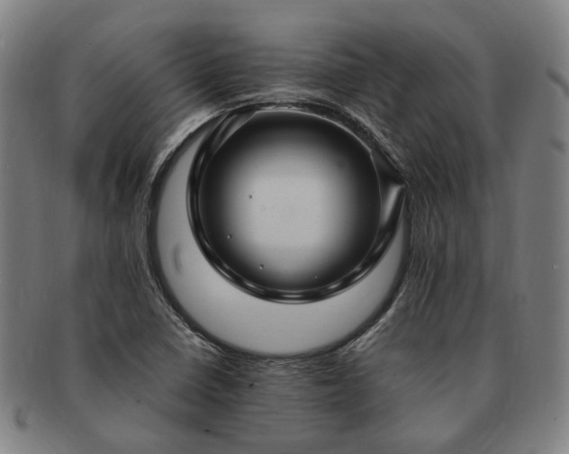 X0000091491410200708231412