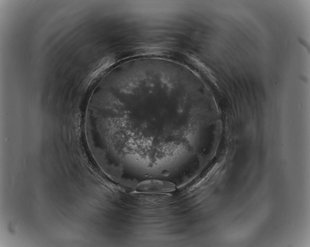 X0000091491411200708231412