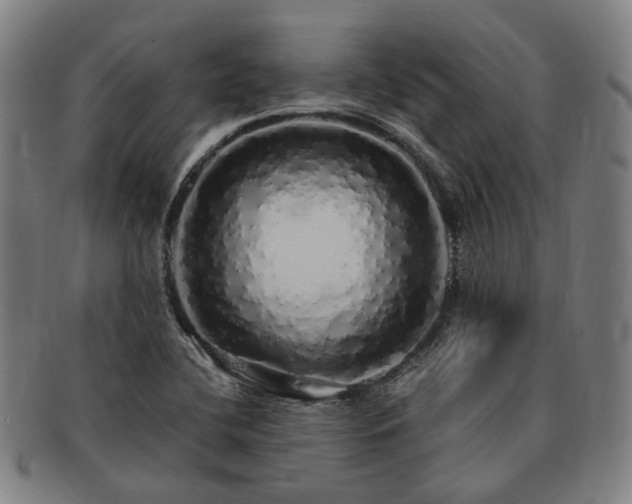 X0000091491412200708231412