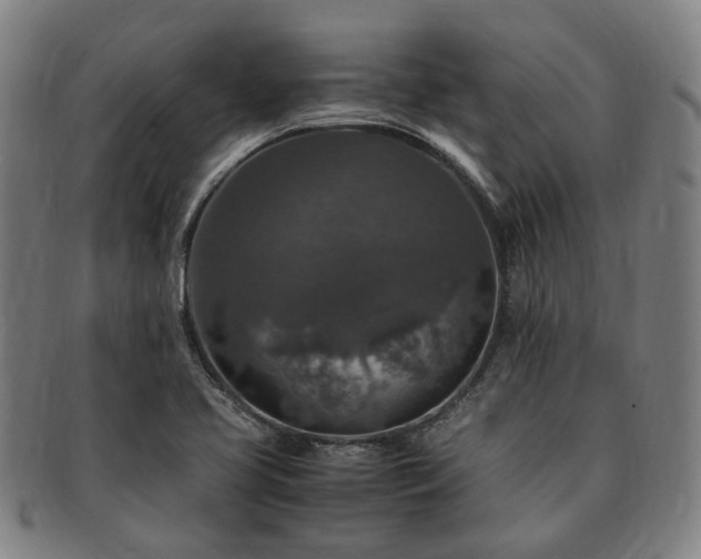 X0000091491413200708231412