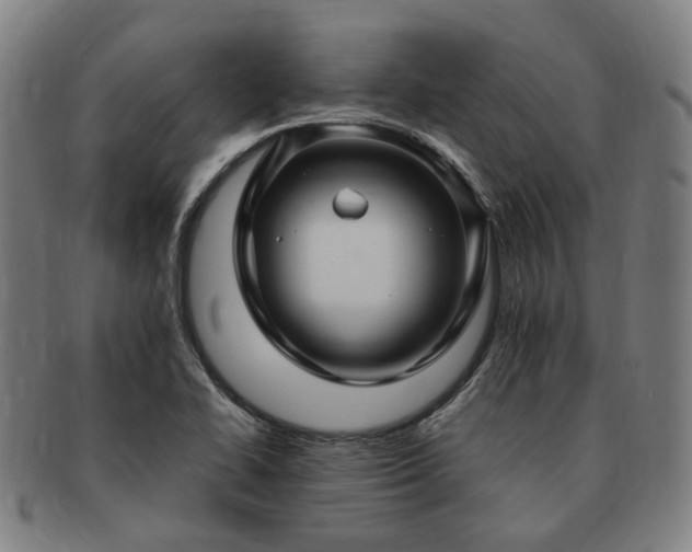 X0000091491414200708231412