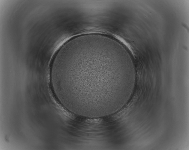 X0000091491415200708231412