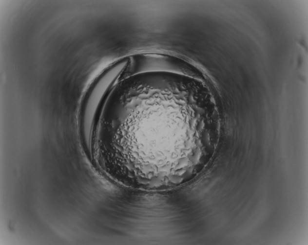 X0000091491416200708231412