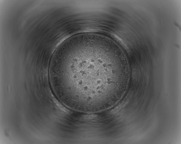 X0000091491417200708231412