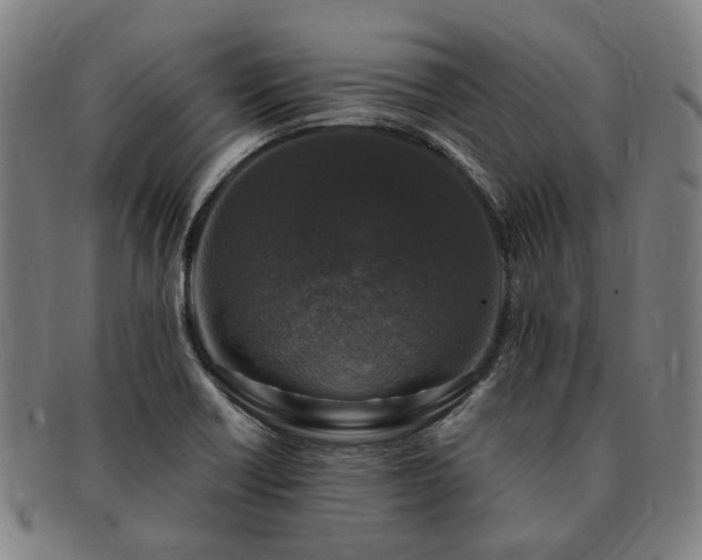 X0000091491418200708231412