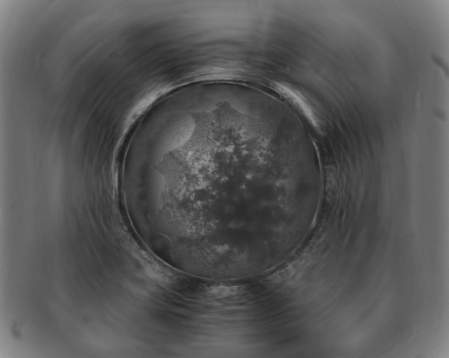 X0000091491419200708231412