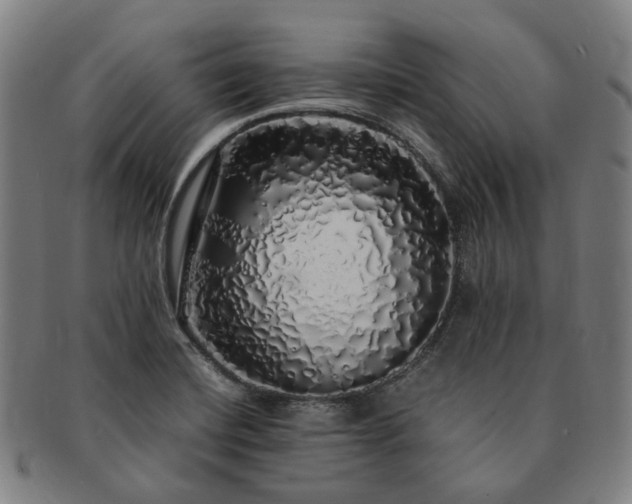 X0000091491420200708231412