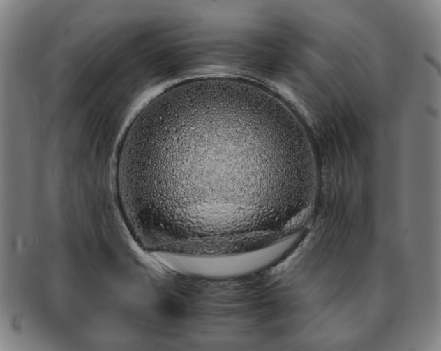 X0000091491421200708231412