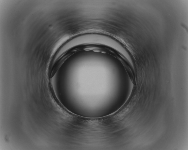 X0000091491422200708231412