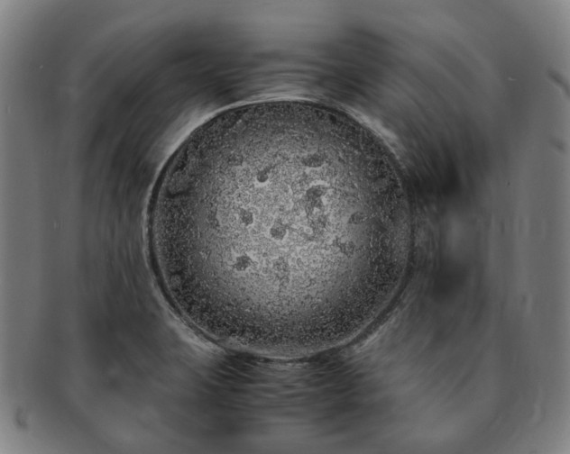 X0000091491423200708231412