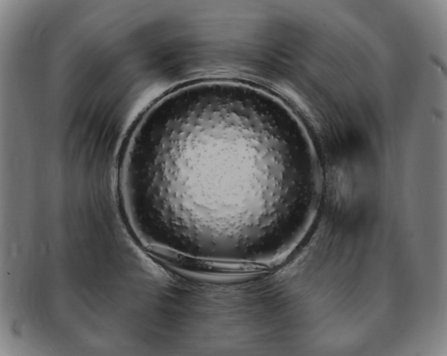 X0000091491424200708231412