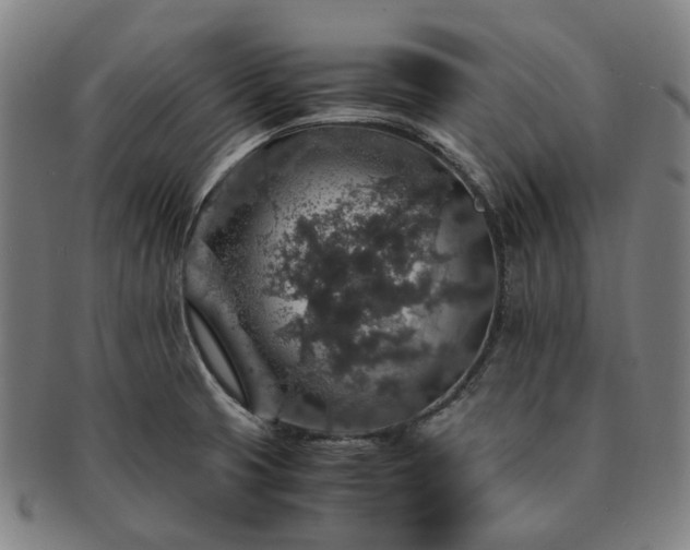 X0000091491425200708231412