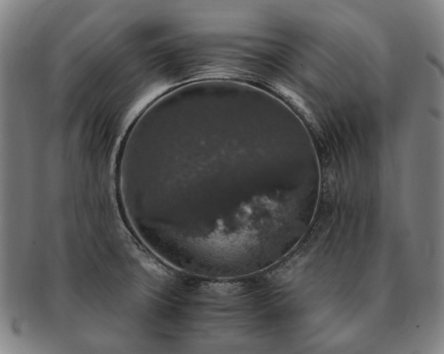 X0000091491427200708231412