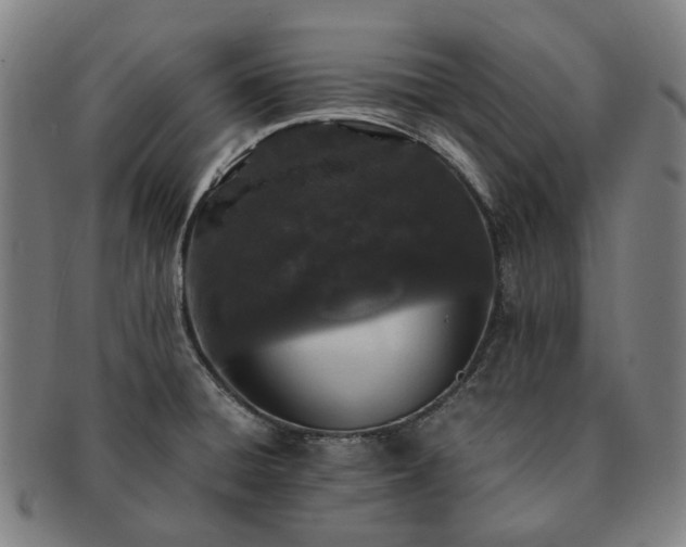 X0000091491428200708231412