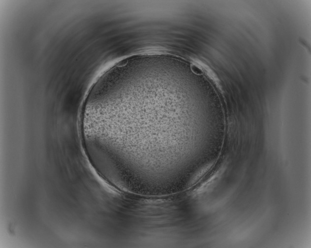 X0000091491429200708231412