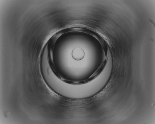 X0000091491430200708231412