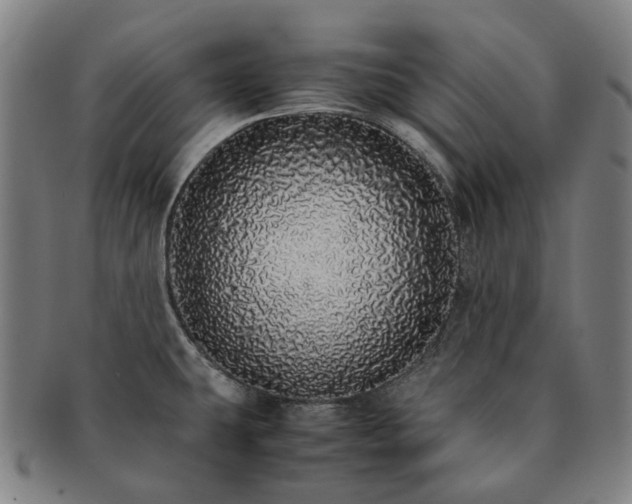 X0000091491431200708231412