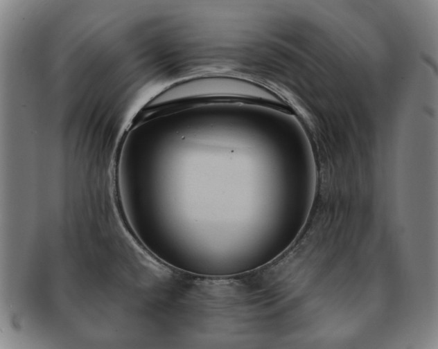 X0000091491432200708231412