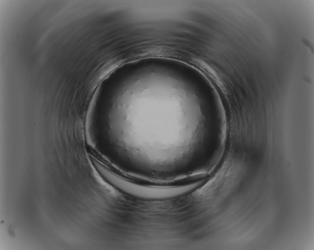 X0000091491433200708231412